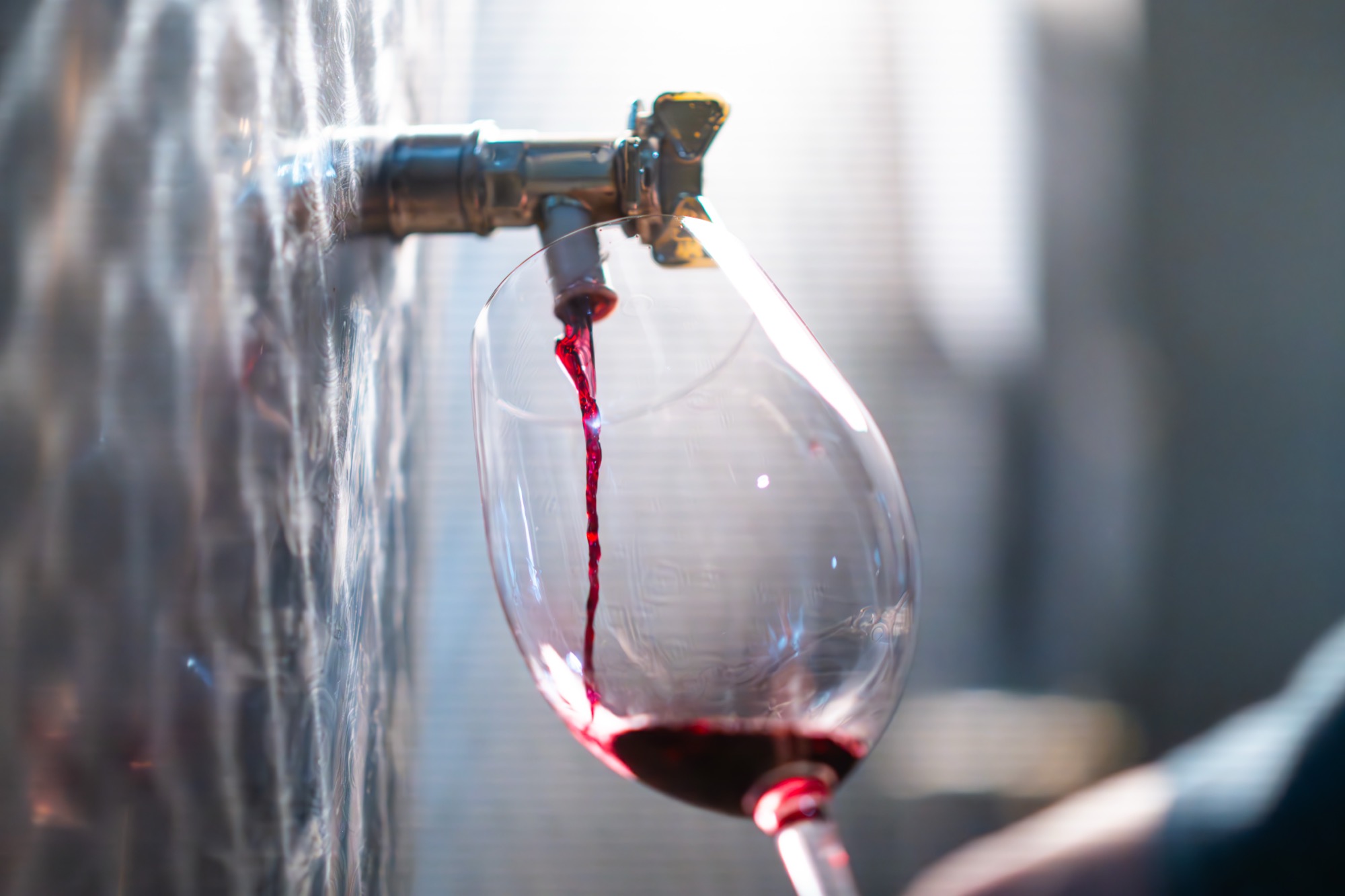Wine making