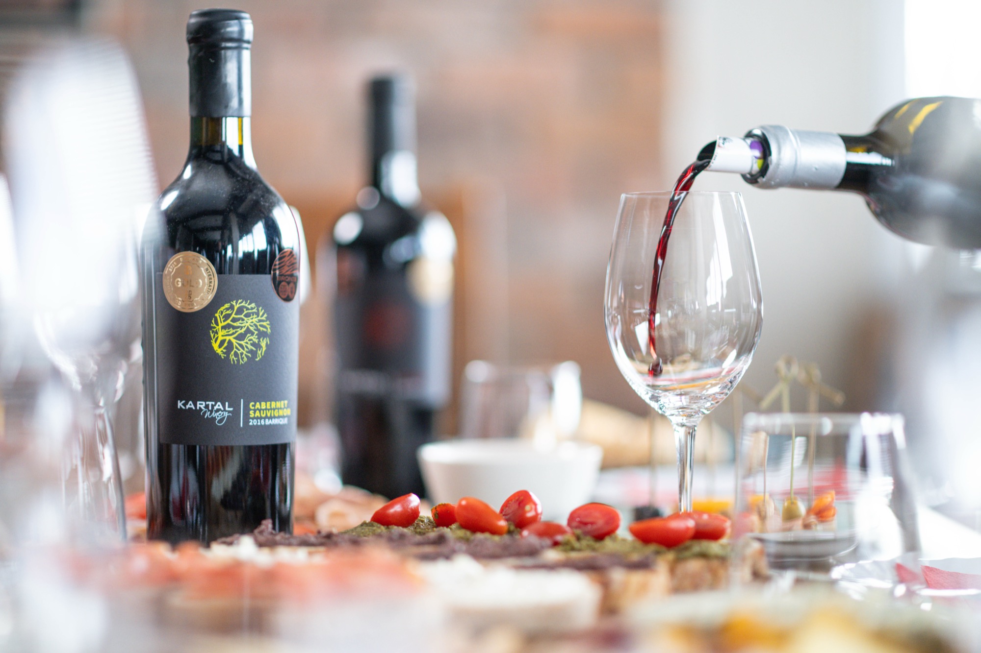 Wine tasting experience at Kartal Winery